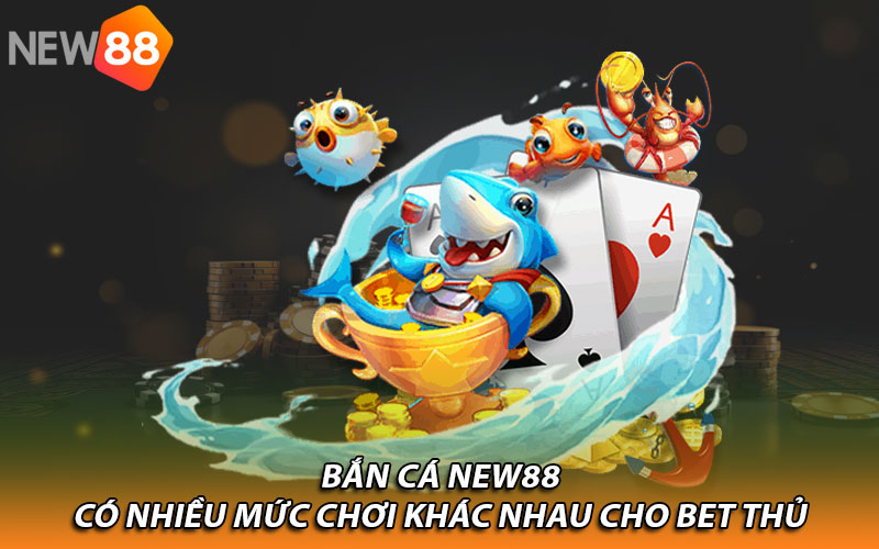 Có nhiều mức chơi khác nhau cho bet thủ