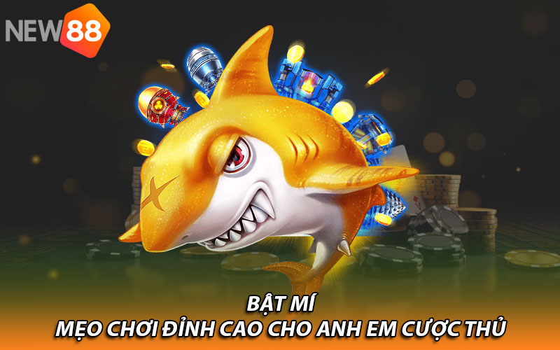 Bật mí mẹo chơi đỉnh cao cho anh em cược thủ