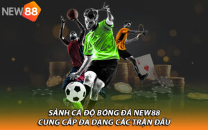 Sảnh cá độ bóng đá New88 cung cấp đa dạng các trận đấu