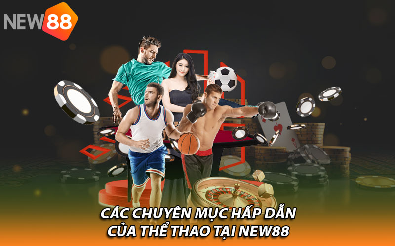 Các chuyên mục hấp dẫn của Thể thao tại New88
